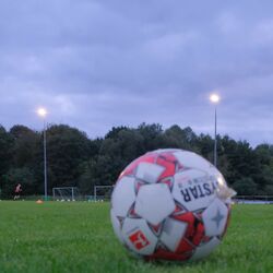 2021 Flutlichtanlage TSG Lütter